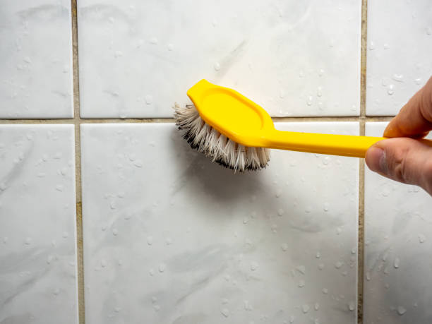 Best DIY Mold Remediation Support Services in Franklin, MI