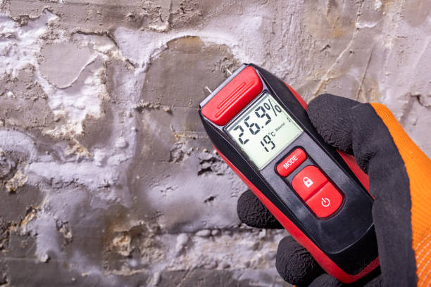 Best Basement Mold Remediation in Franklin, MI