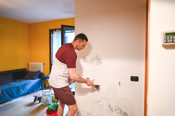 Best White Mold Remediation in Franklin, MI